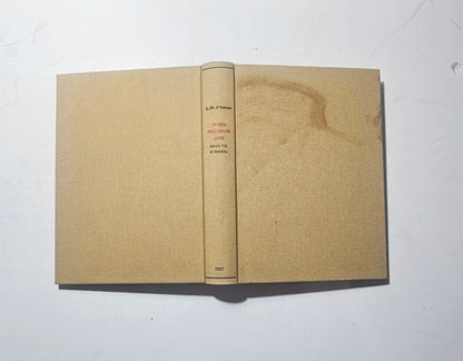 Legatura moderna in tela della guida storica di Brescia 1927 iolibrocarmine
