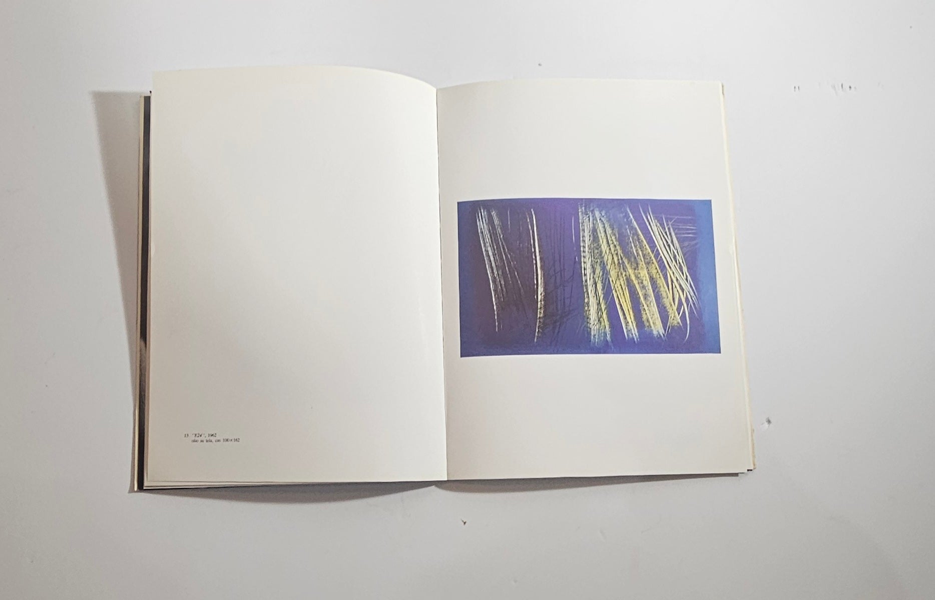Libro illustrato pittura astratta novecento Hans hartung Brera Milano
