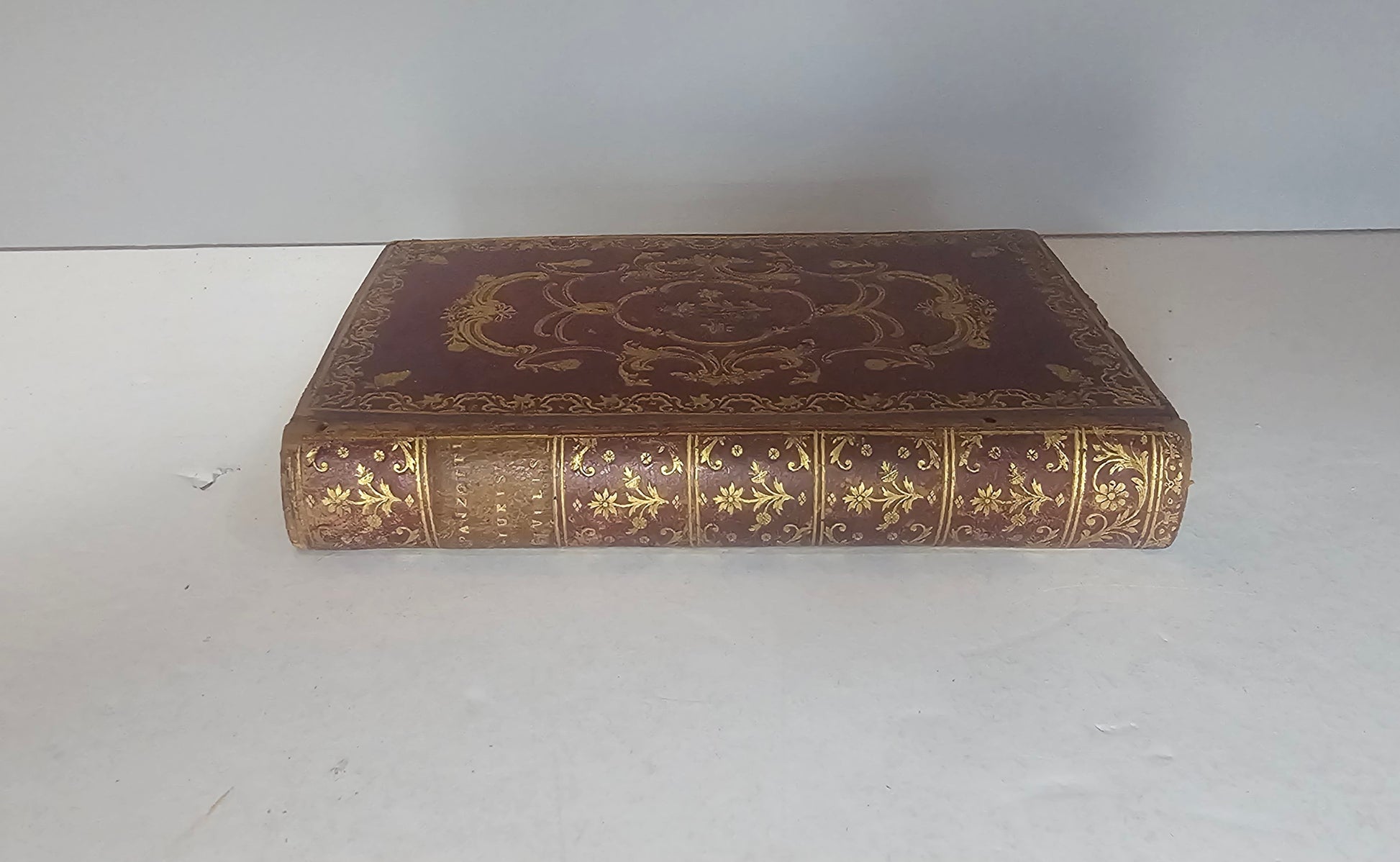 Dorso libro antico in pelle decorata oro Spanzotti