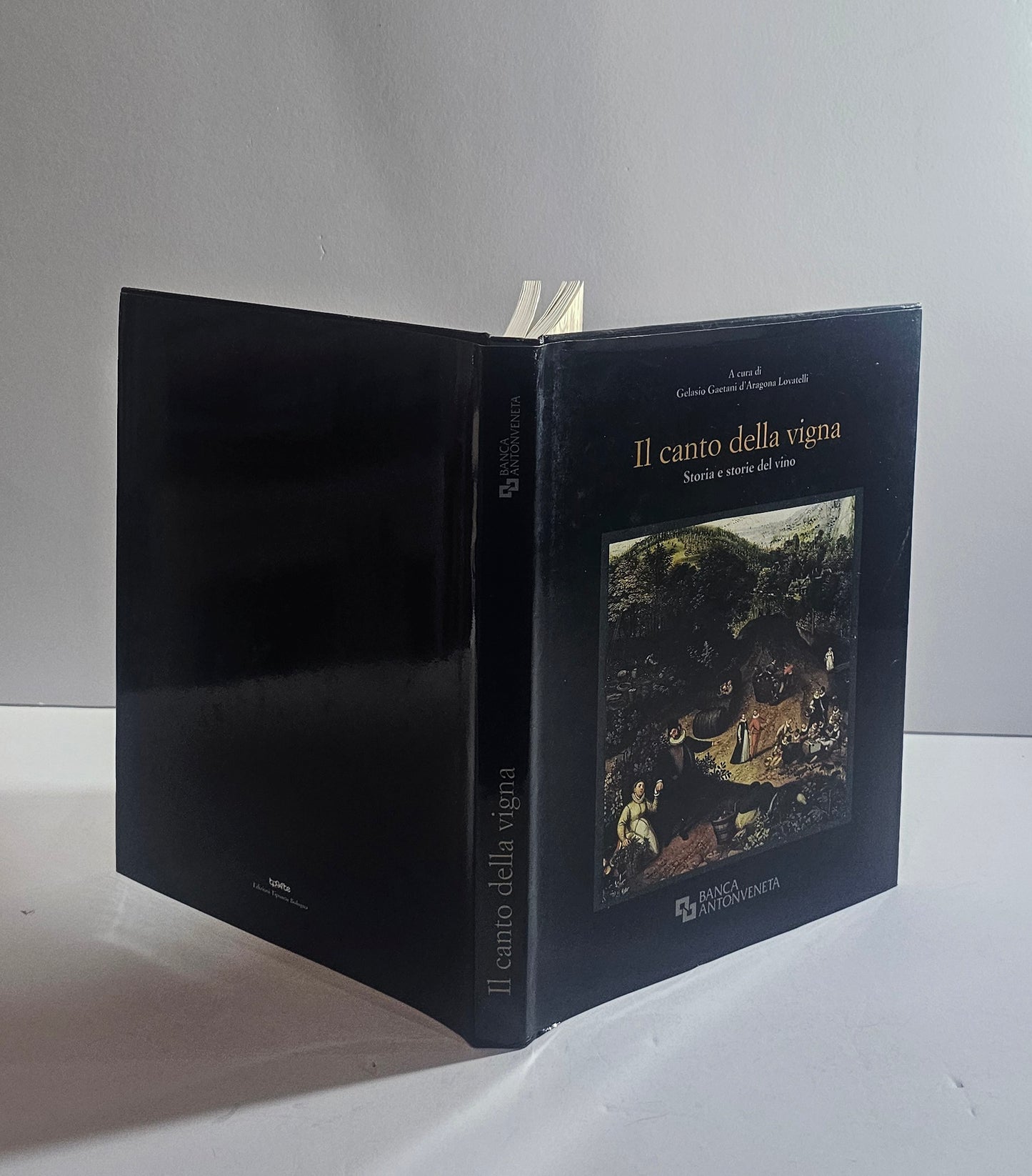 il canto della vigna libro vino copertina enologia