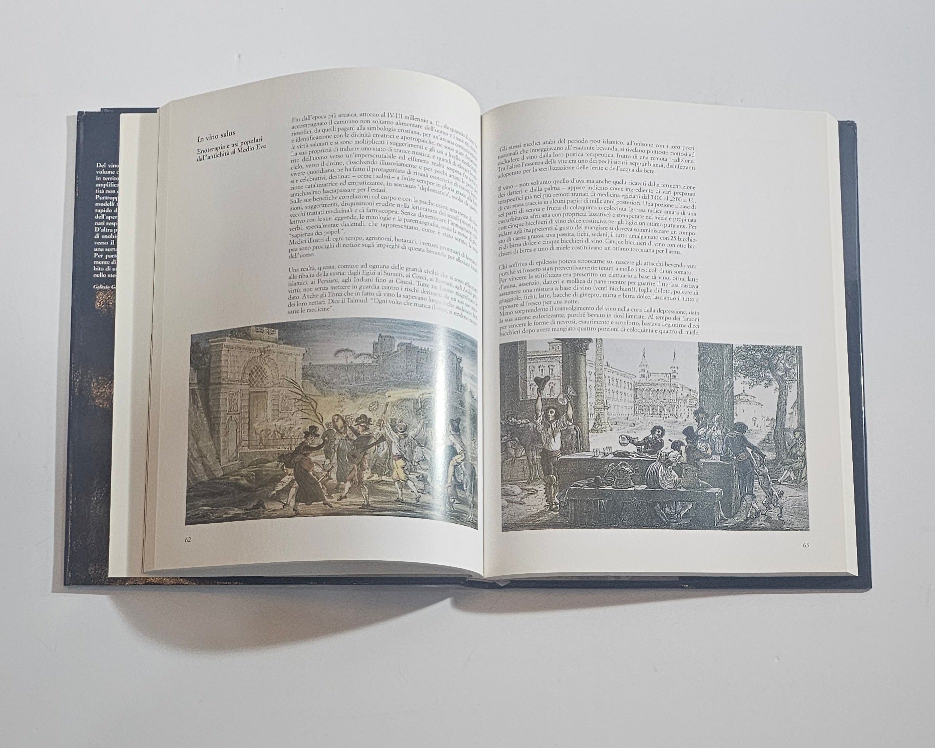 libro vino pagine illustrate storia del vino il canto della vigna