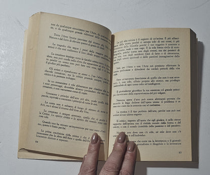 Pagine interne del libro Il Decadentismo Editori Riuniti io libro carmine