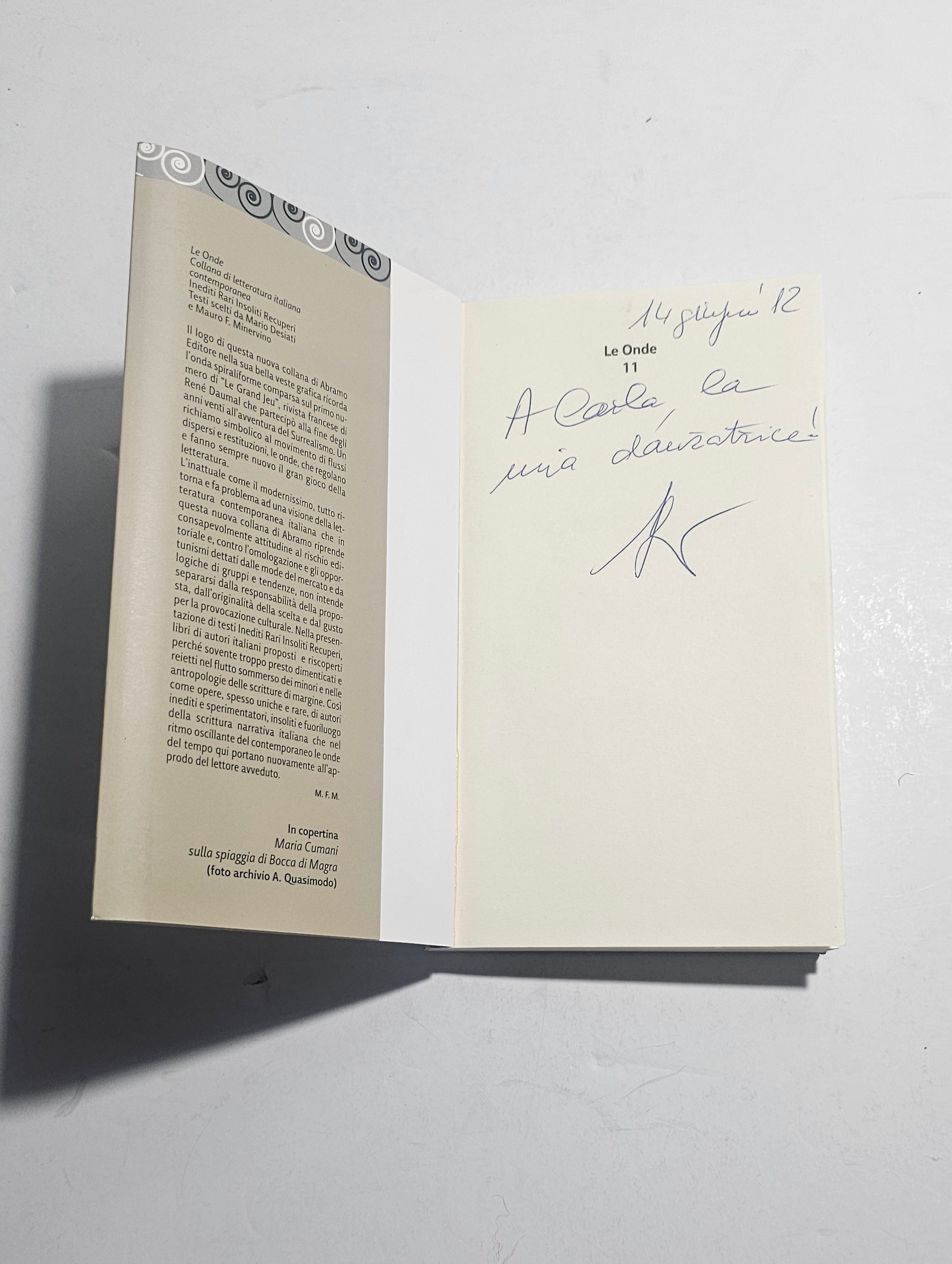 Dedica autografa manoscritta libro
Pagina interna con firma
