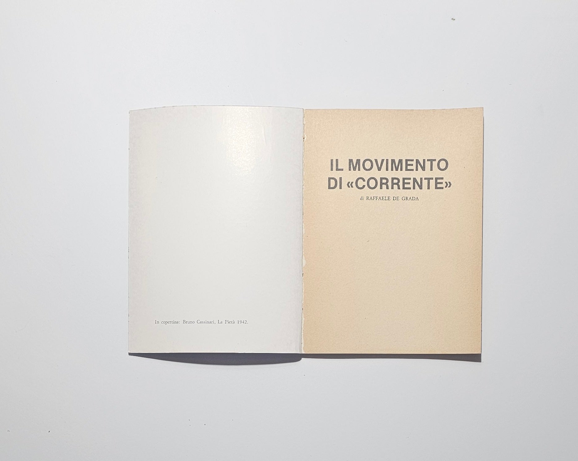 Pagine interne libro Corrente arte italiana io libro carmine
