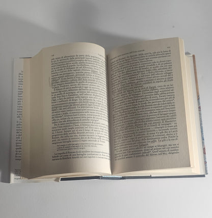 Pagine interne libro storia Asia centrale io libro carmine testo 
