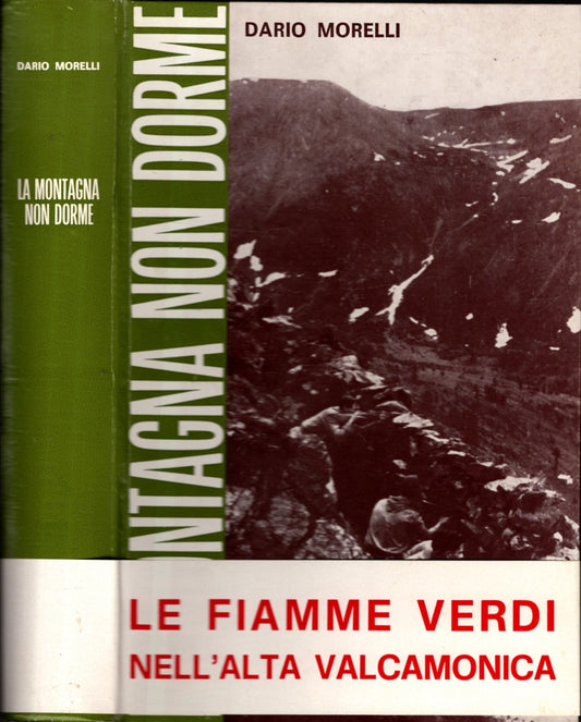 LA MONTAGNA NON DORME LE FIAMME VERDI NELL'ALTA VALLECAMONICA DARIO MORELLI**