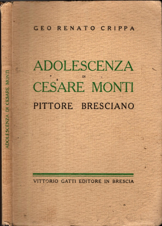 ADOLESCENZA DI CESARE MONTI PITTORE BRESCIANO