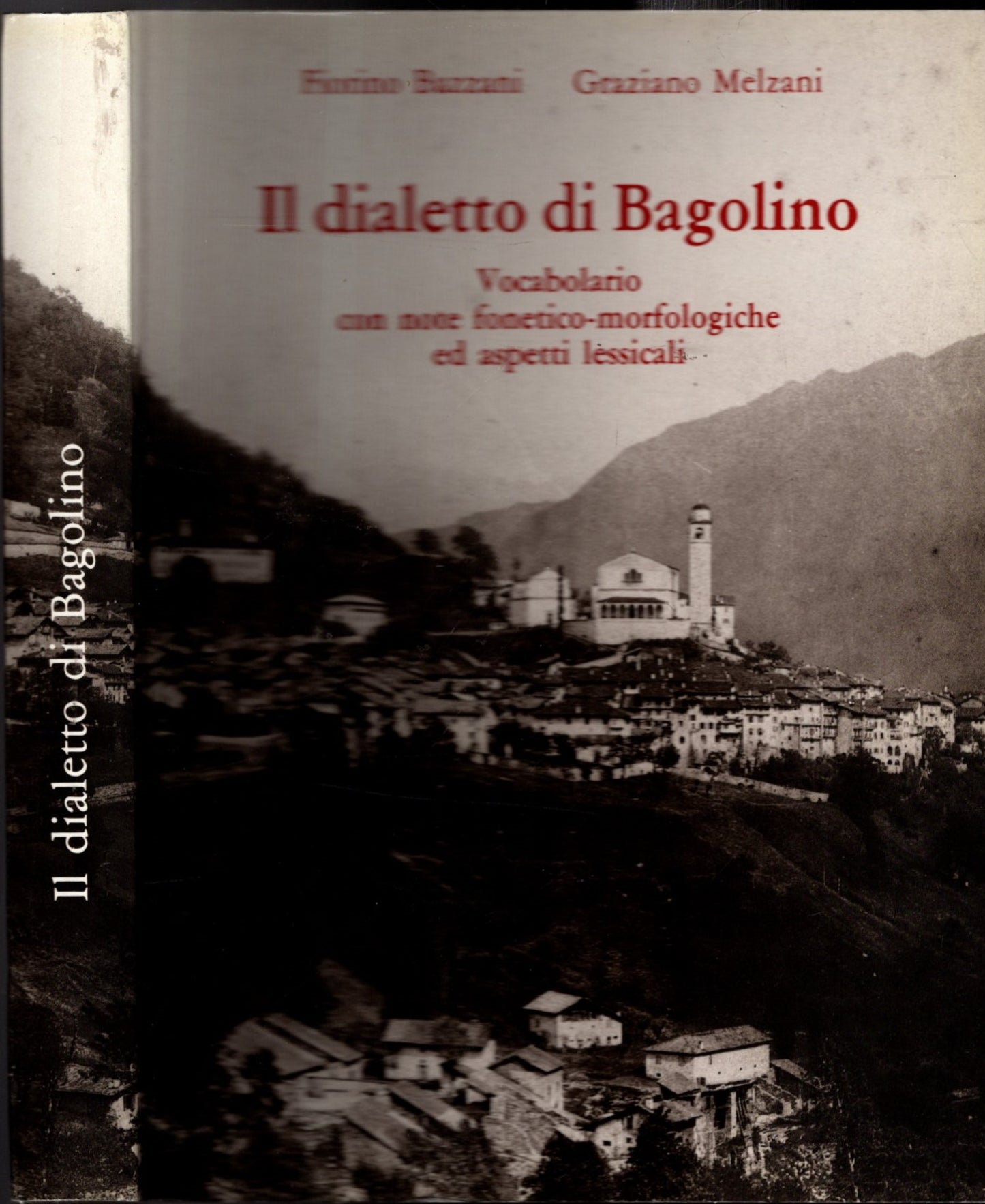 Il dialetto di Bagolino. Vocabolario con note fonetico-morfologiche ed aspetti lessicali**