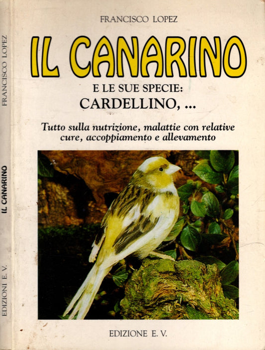 IL CANARINO E LE SUE SPECIE: CARDELLINO