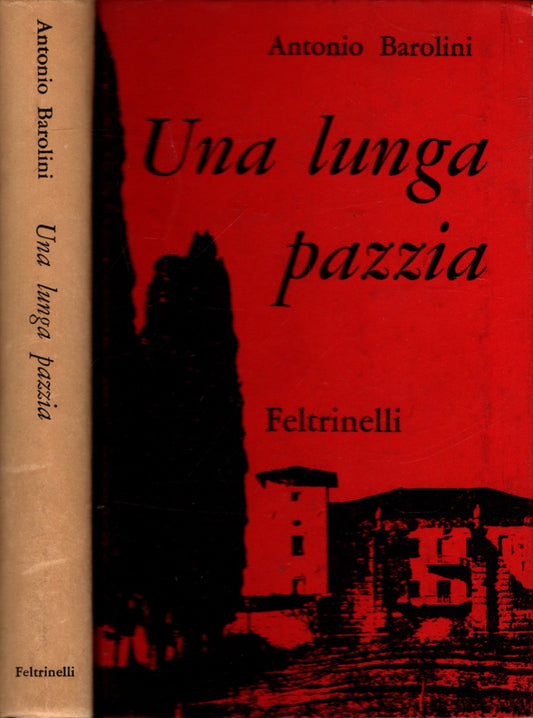 una lunga pazzia - antonio barolini