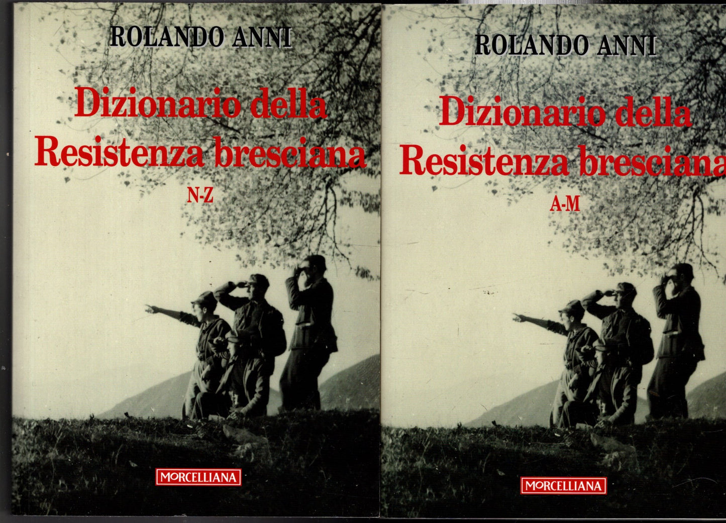 DIZIONARIO DELLA RESISTENZA BRESCIANA 2 VOLUMI