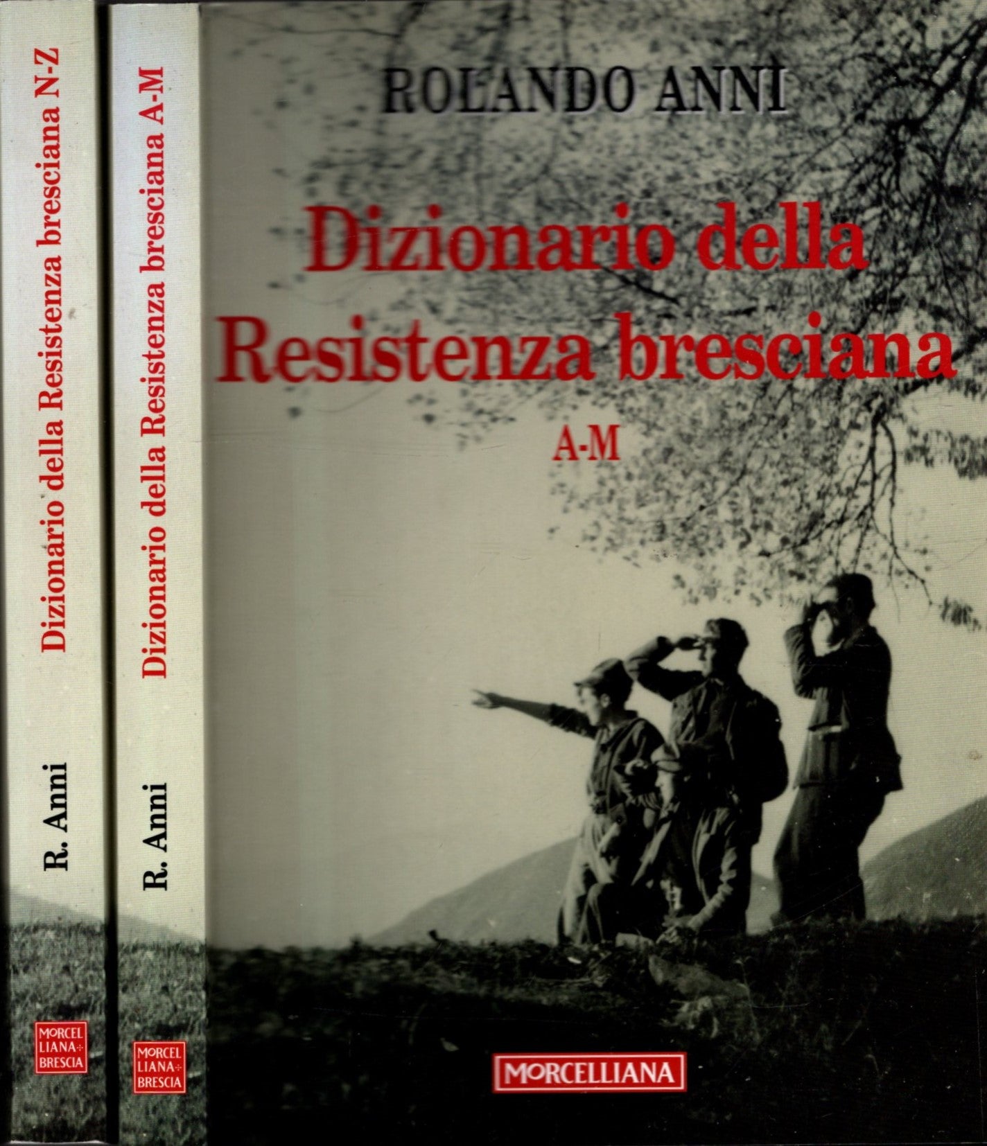 DIZIONARIO DELLA RESISTENZA BRESCIANA 2 VOLUMI