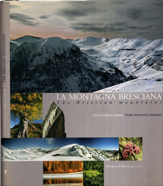 La montagna bresciana : percorsi, ambienti, paesaggi