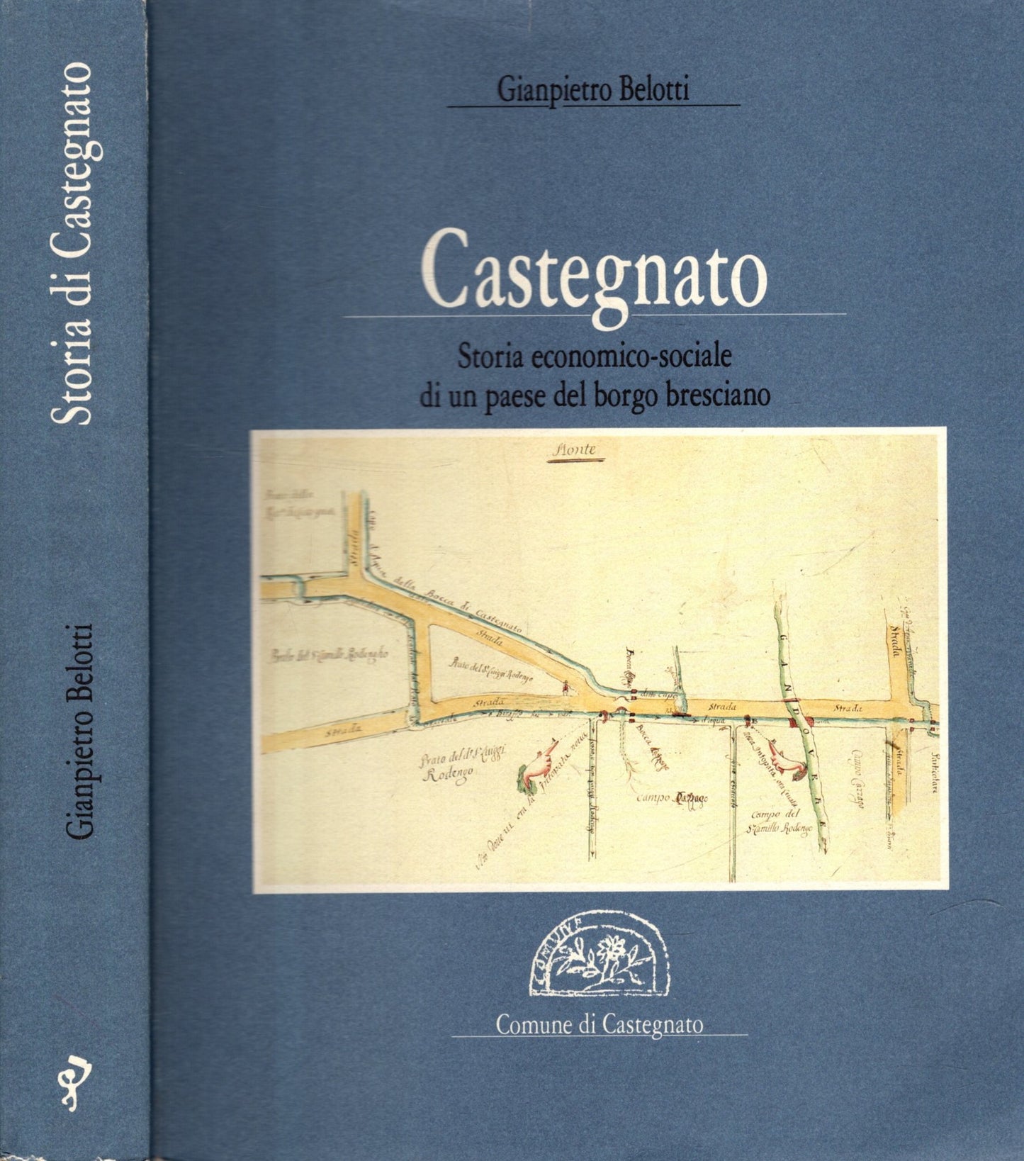 Castegnato : storia economico-sociale di un paese del borgo bresciano