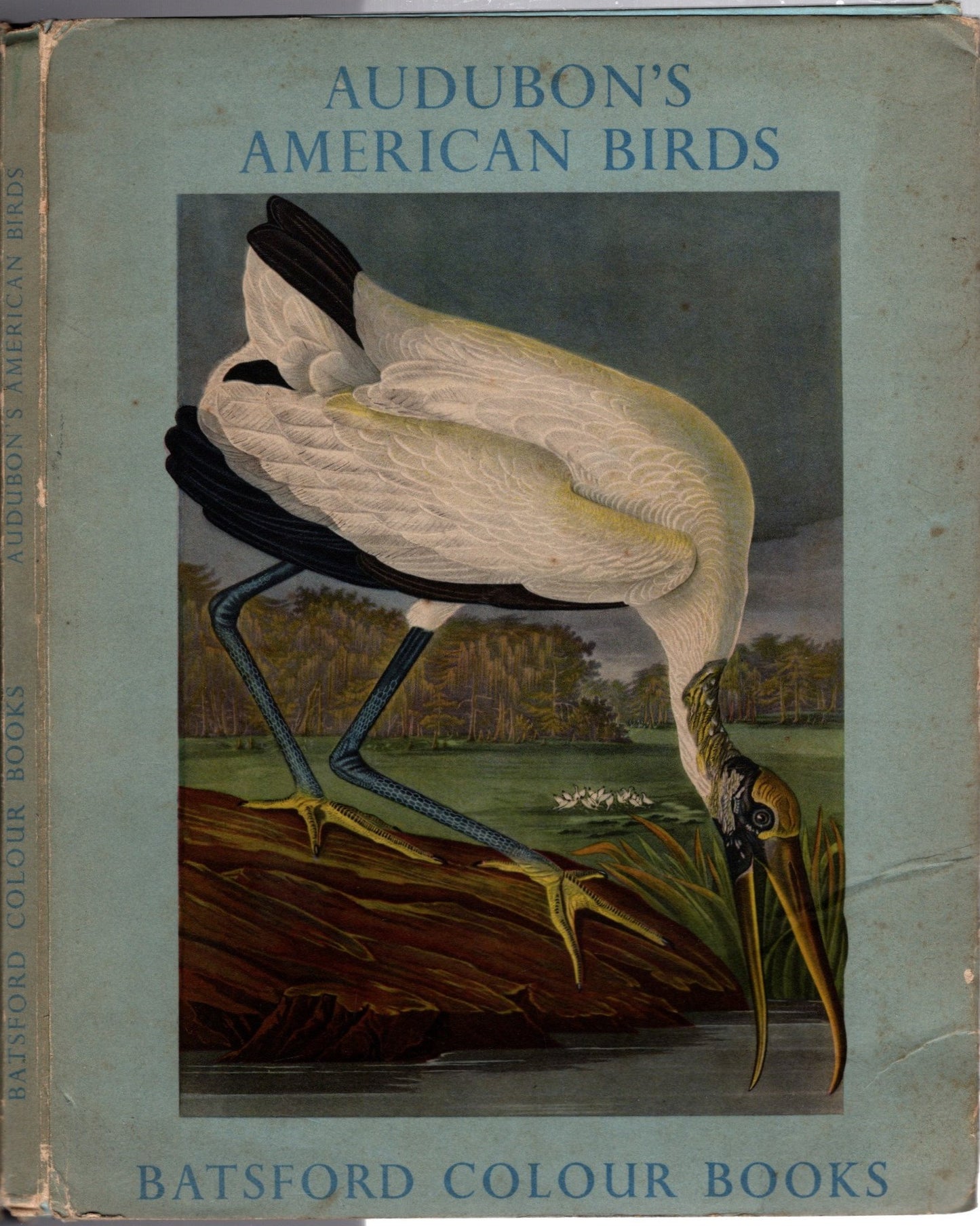 Audubon's American birds