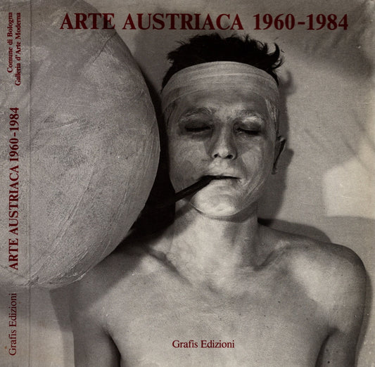 Arte austriaca 1960-1984