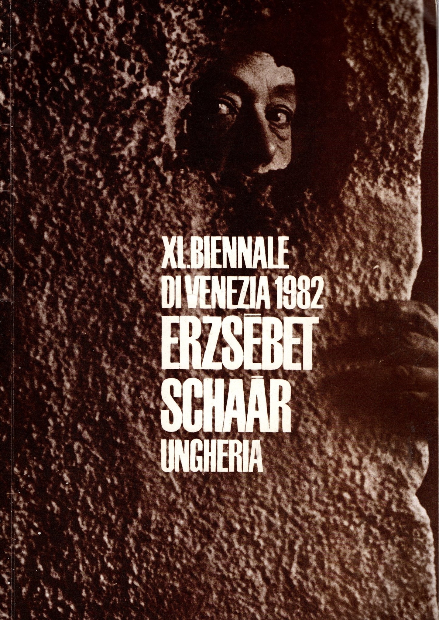 Erzsebet Schaar. Ungheria. XI Biennale di  Venezia 1982 *