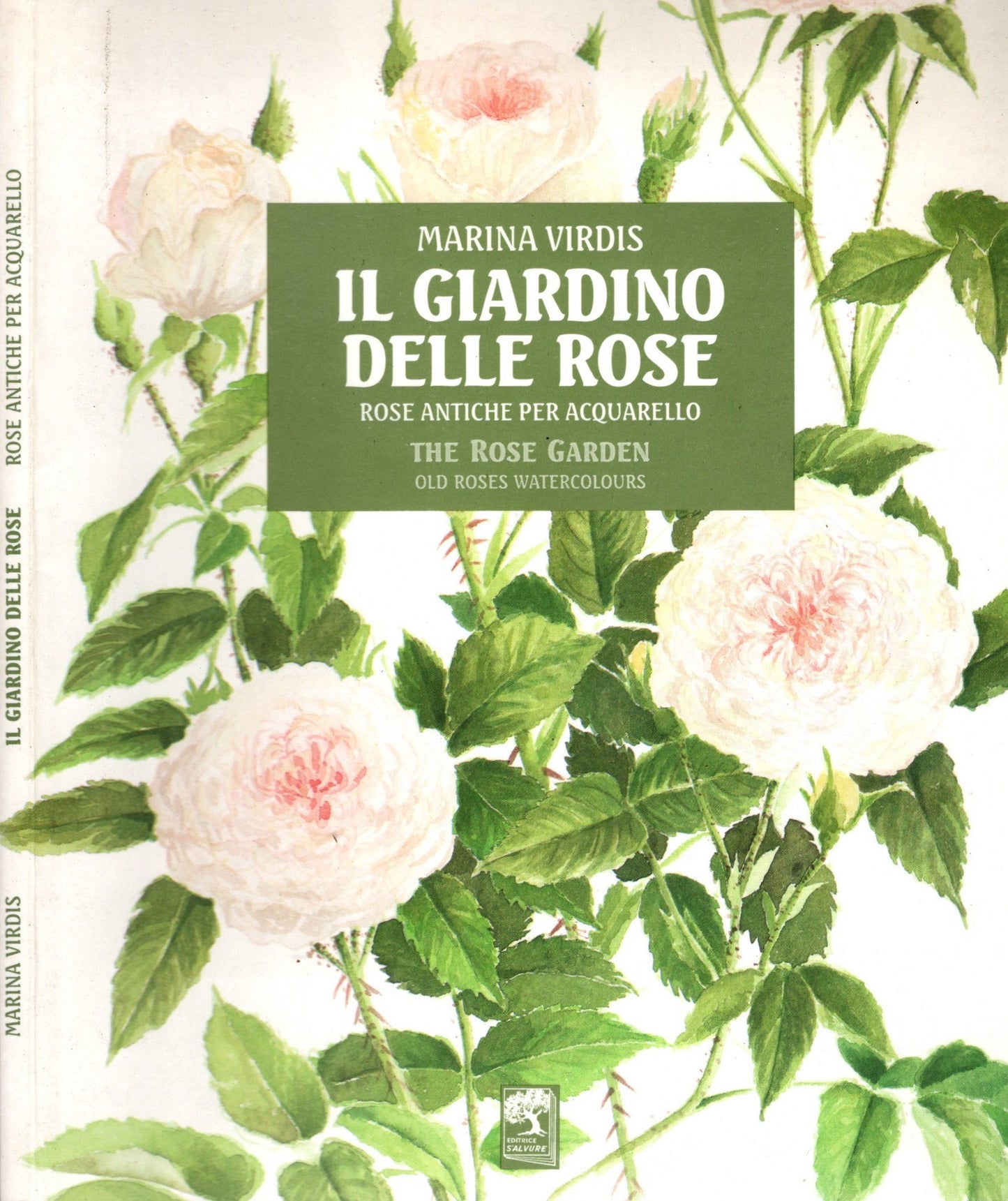 Il giardino delle rose - The rose garden / Rose antiche per acquarello