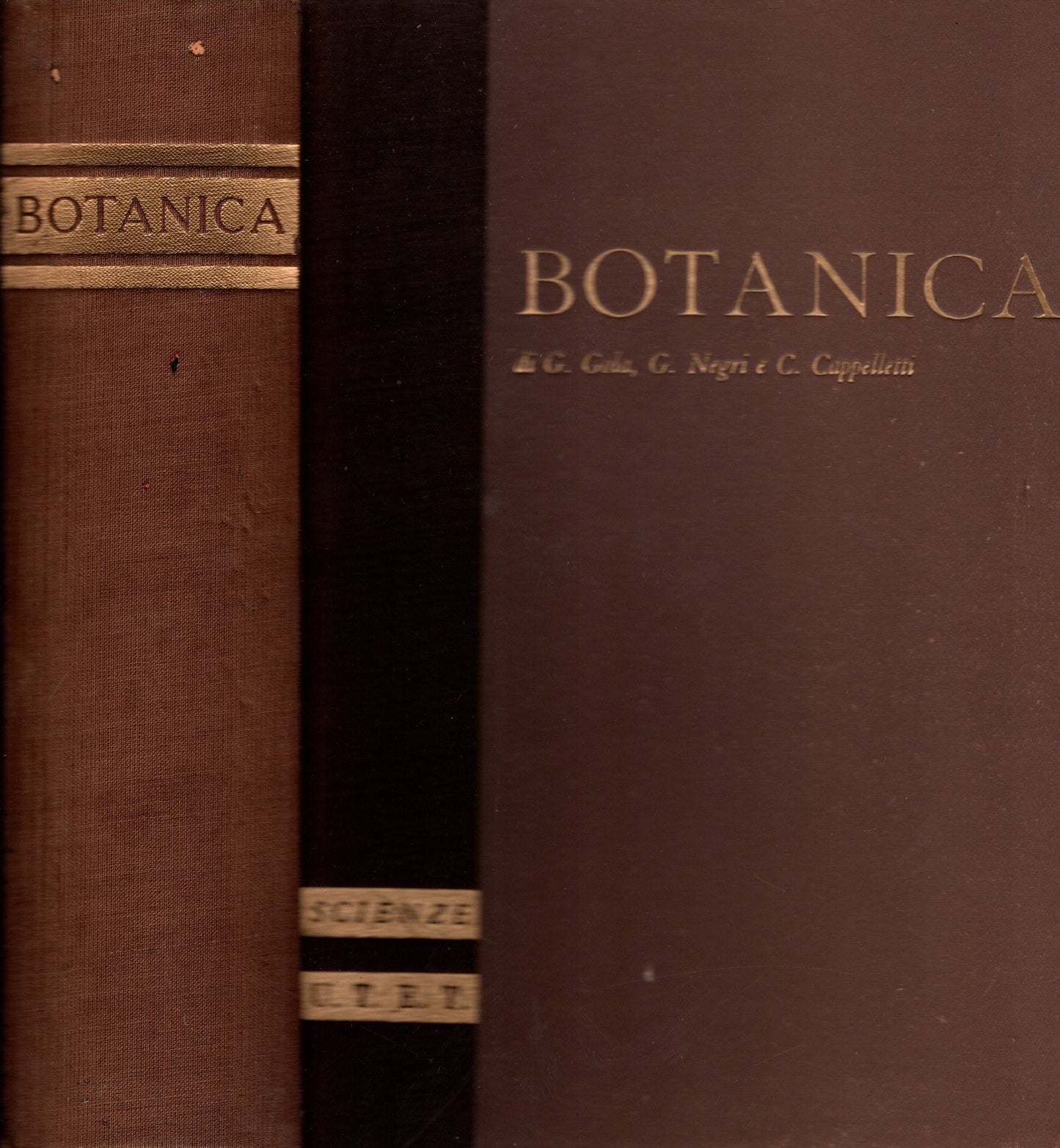 Trattato di botanica Utet