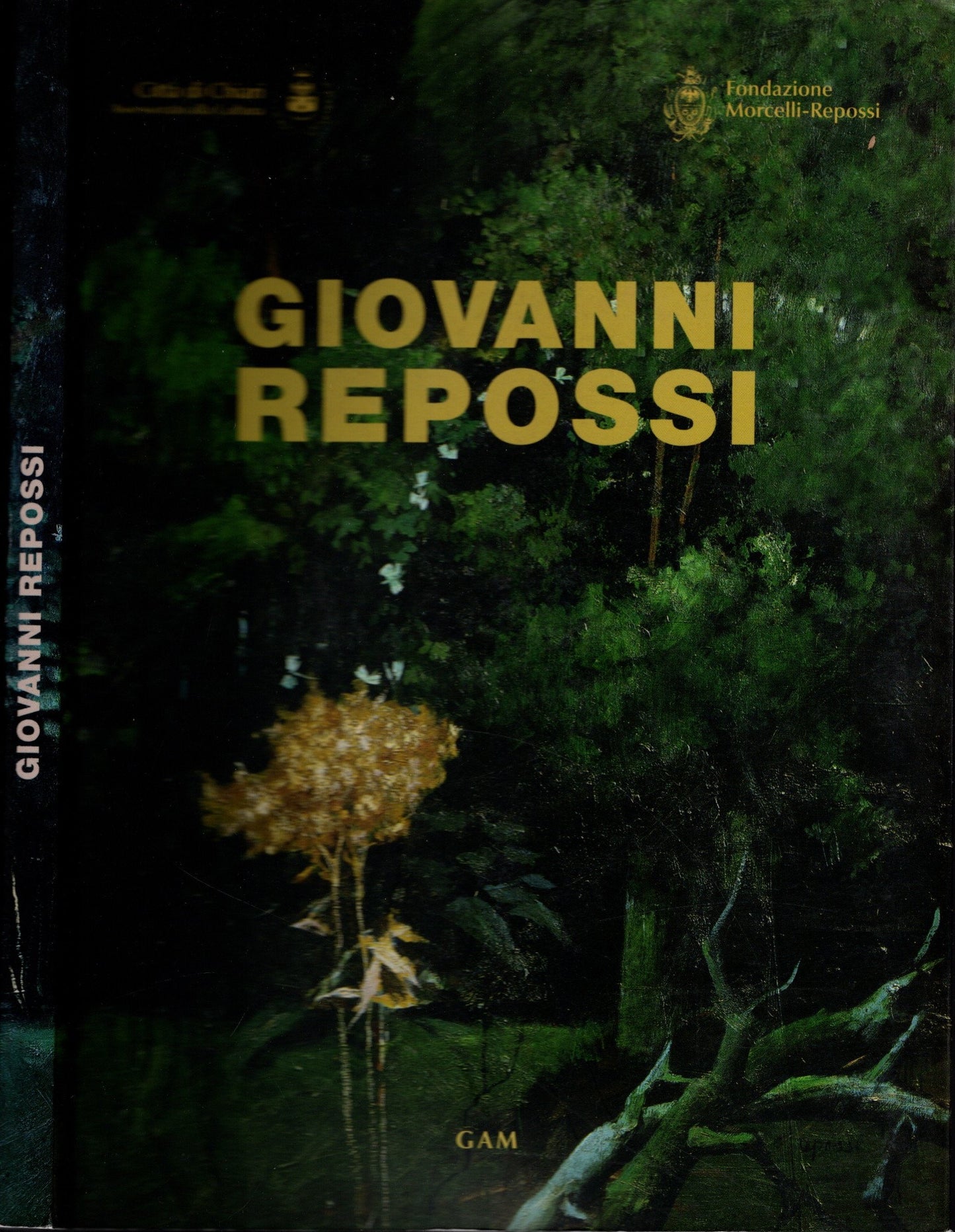 Giovanni Repossi Immagini Di Luce