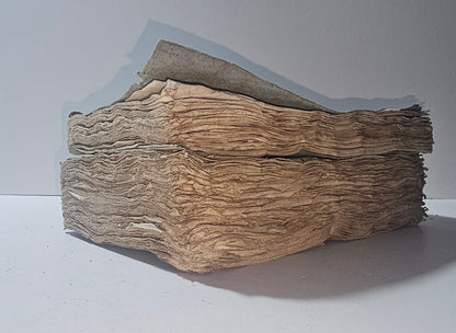 Tagli e stato di conservazione dei volumi napoleonici io libro carmine