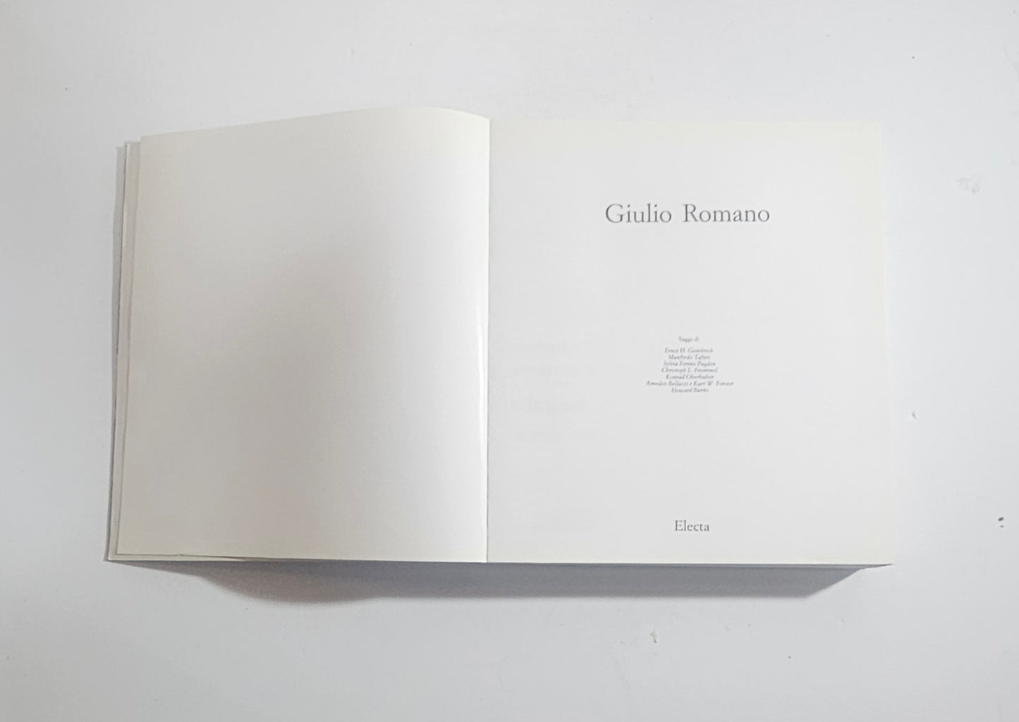 titolo frontespizio pagine libro arte manierismo italiano illustrato