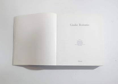 titolo frontespizio pagine libro arte manierismo italiano illustrato