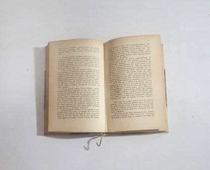 interno libro storico prima guerra mondiale meda pagine ingiallite