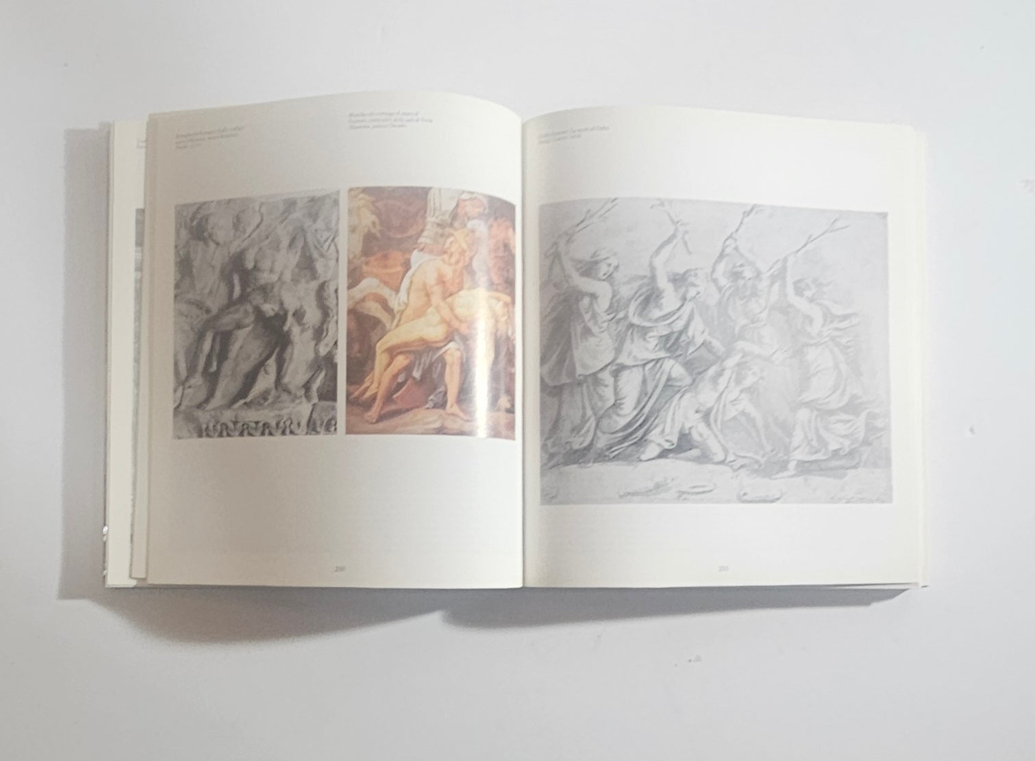 dettagli opere pittoriche rinascimento libro illustrato