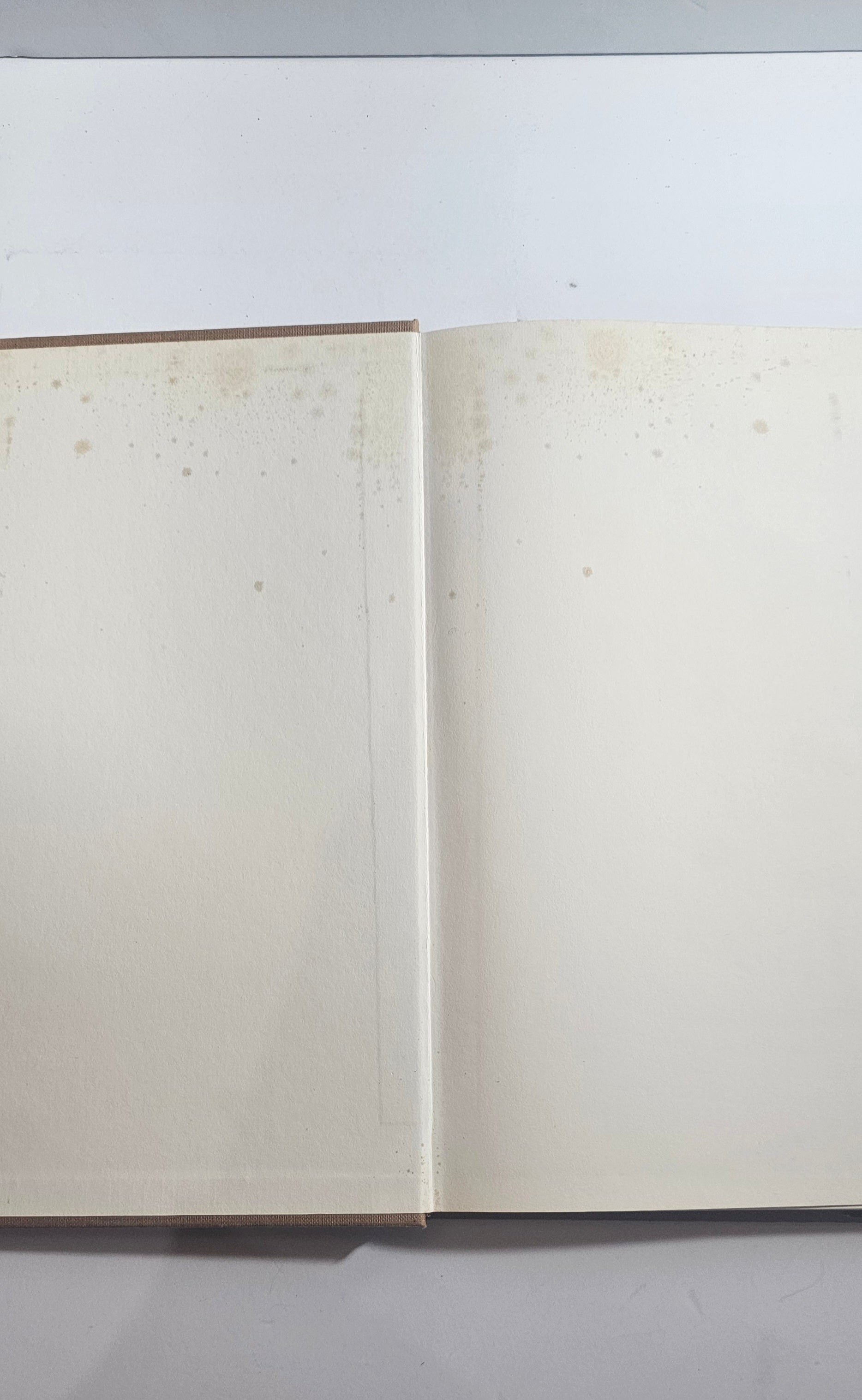 Libro Italia 1920 1940 Tarozzi copertina difetti
