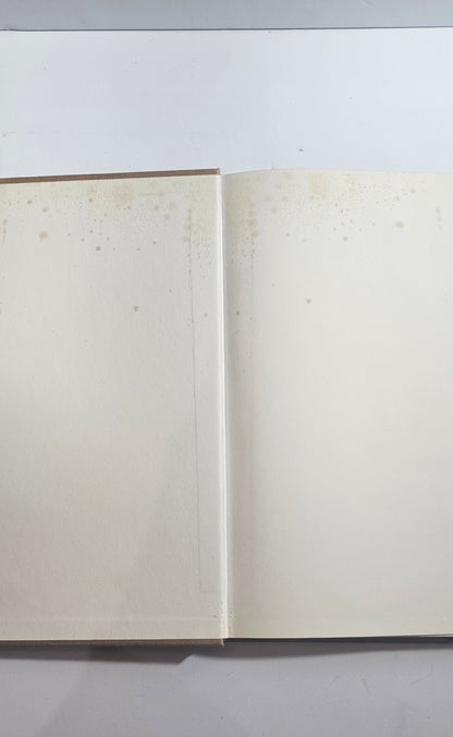 Libro Italia 1920 1940 Tarozzi copertina difetti

