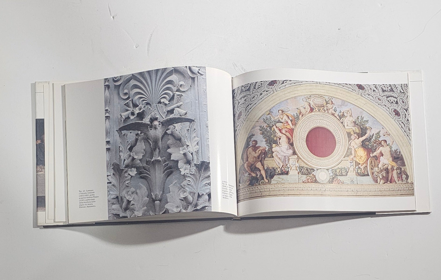 iolibrocarmine libro arte astino illustrazioni 
