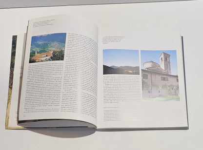 Affreschi chiesa San Francesco Brescia libro arte