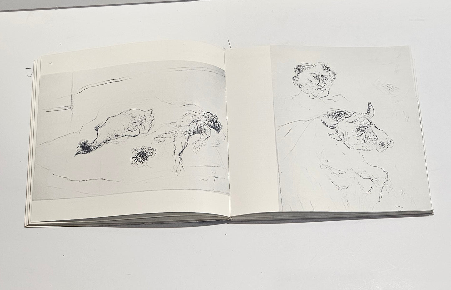 Opere arte italiana contemporanea catalogo mostra 1974
