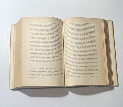 iolibrocarmine pagine interne libro La Voce con tagli intonsi e carta ingiallita