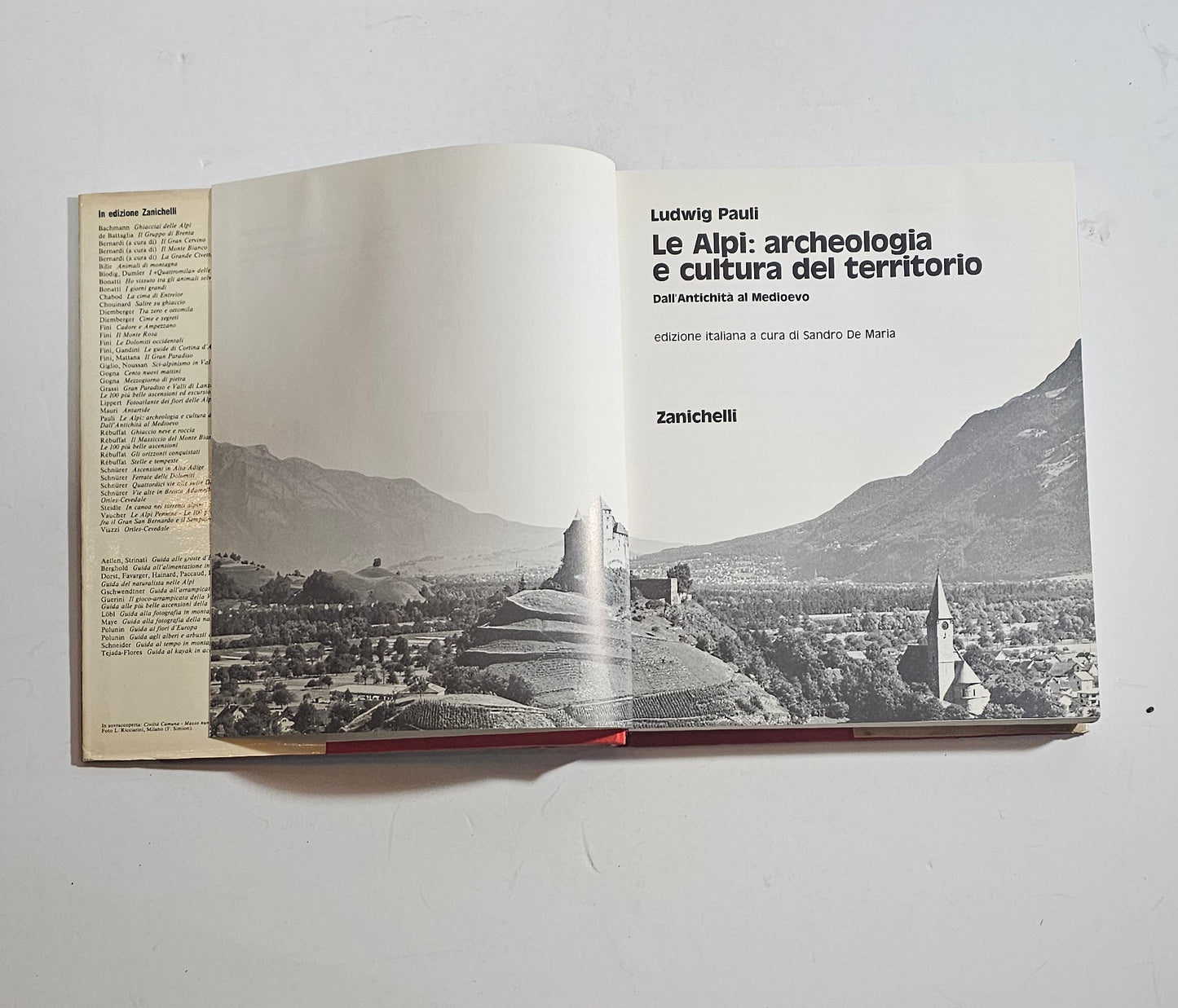 frontespizio libro archeologia alpina pauli