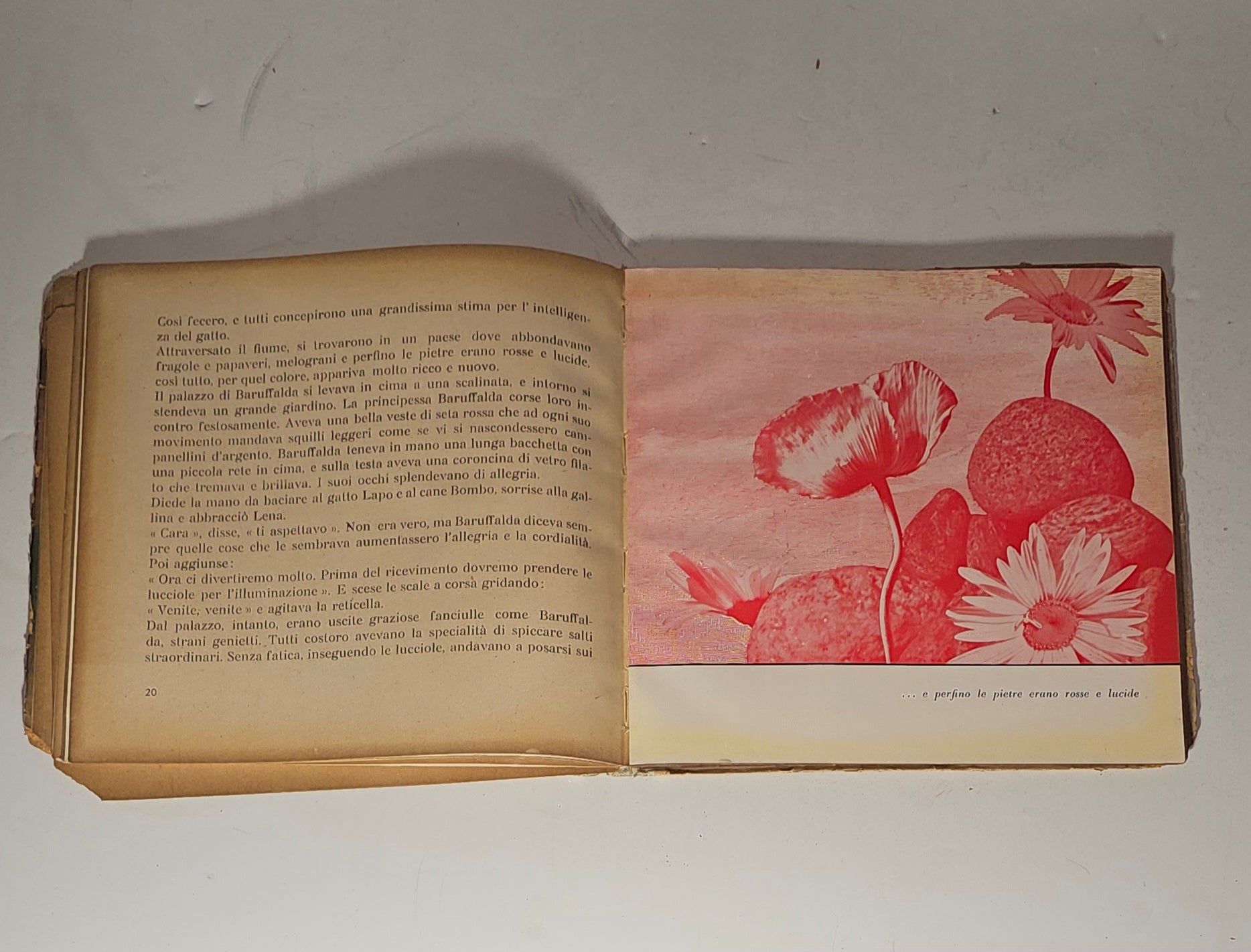 iolibrocarmine illustrazioni vintage lena e il bombo
