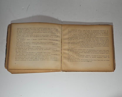 iolibrocarmine pagine interne libro illustrato orsola nemi
