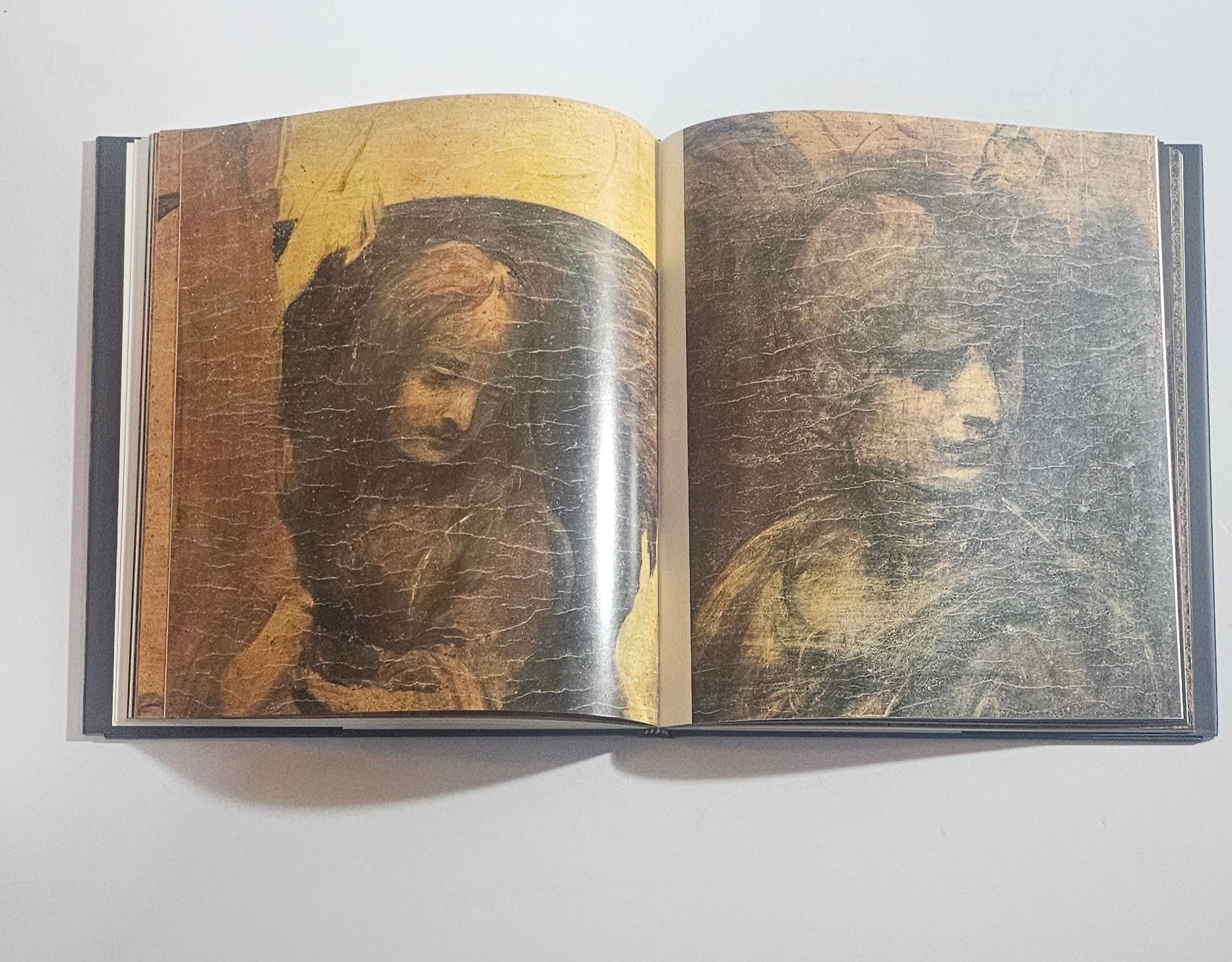 leonardo pagine interne dipinti dettaglio pittura rinascimento