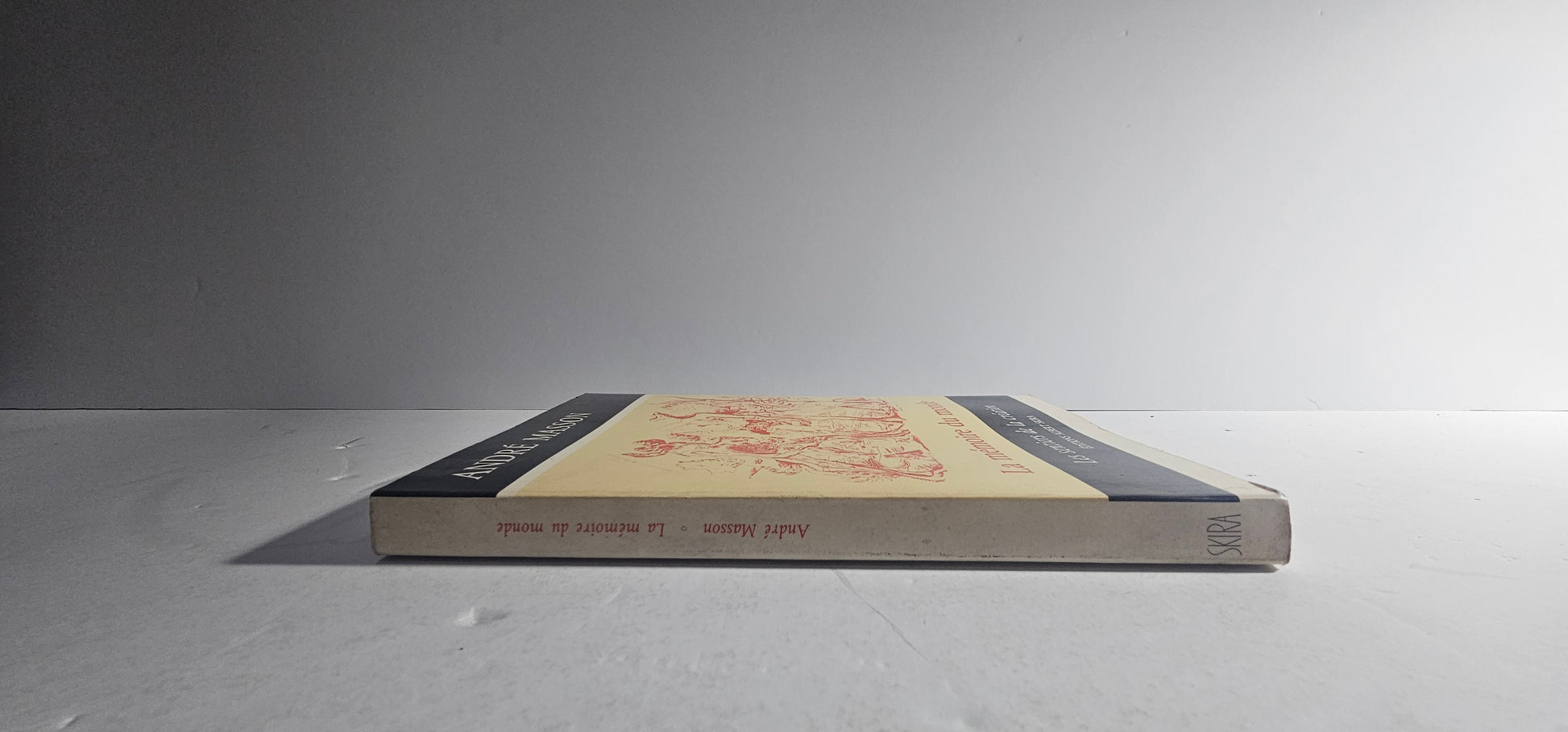 iolibrocarmine skira libro arte novecento masson dorso 