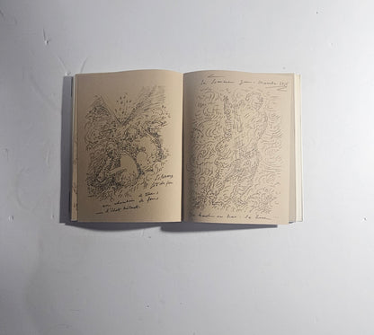 iolibrocarmine arte contemporanea masson schizzi libro
