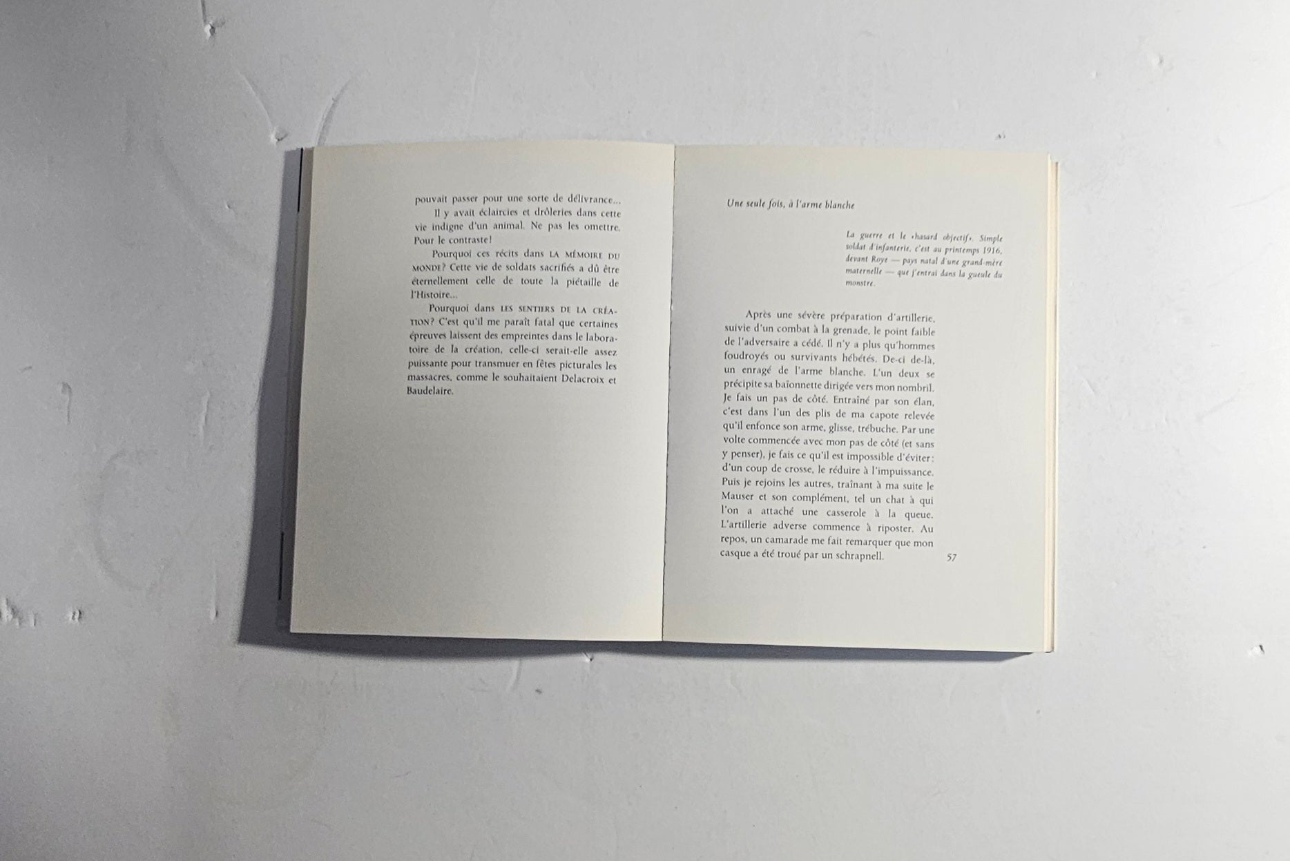 iolibrocarmine skira libro arte novecento masson in francese 
