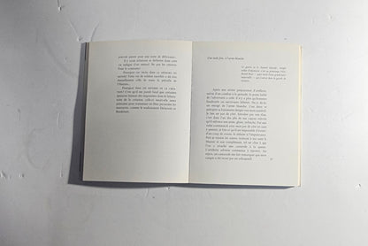 iolibrocarmine skira libro arte novecento masson in francese 