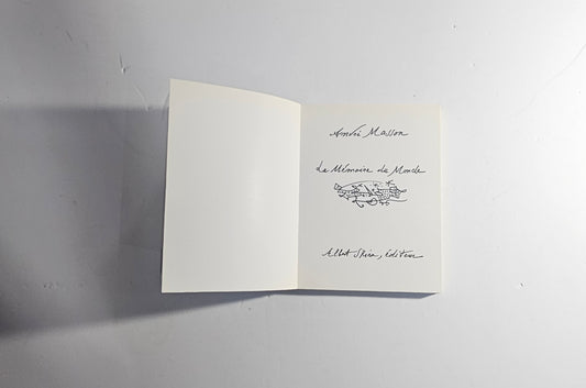iolibrocarmine arte contemporanea masson schizzi libro frontespizio
