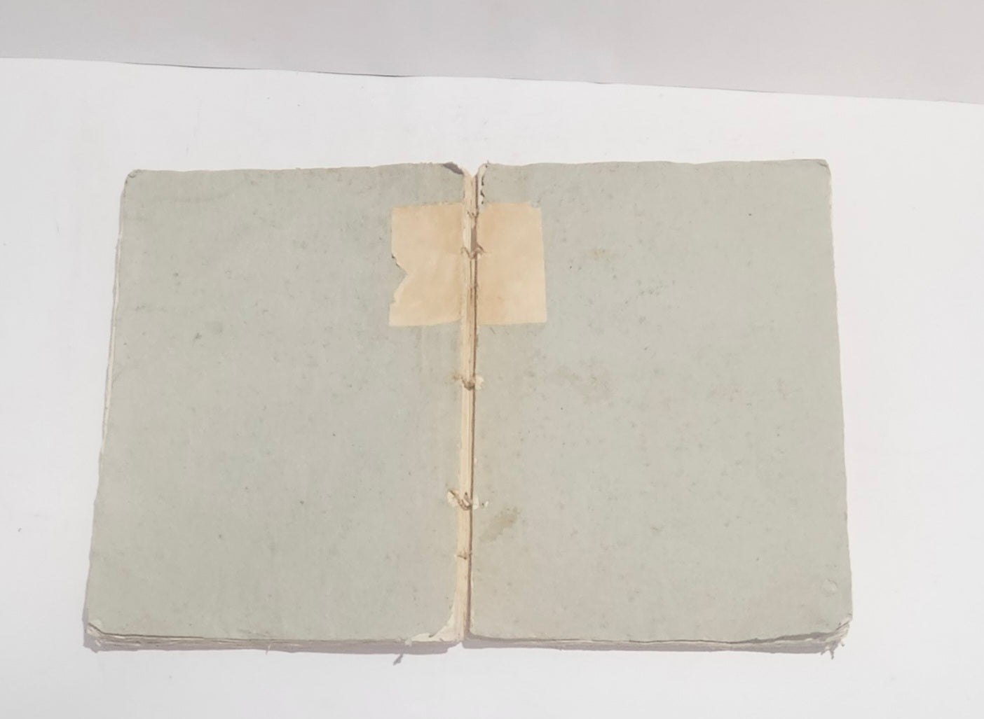 Cucitura originale libro antico Verona 1800 carta vergata