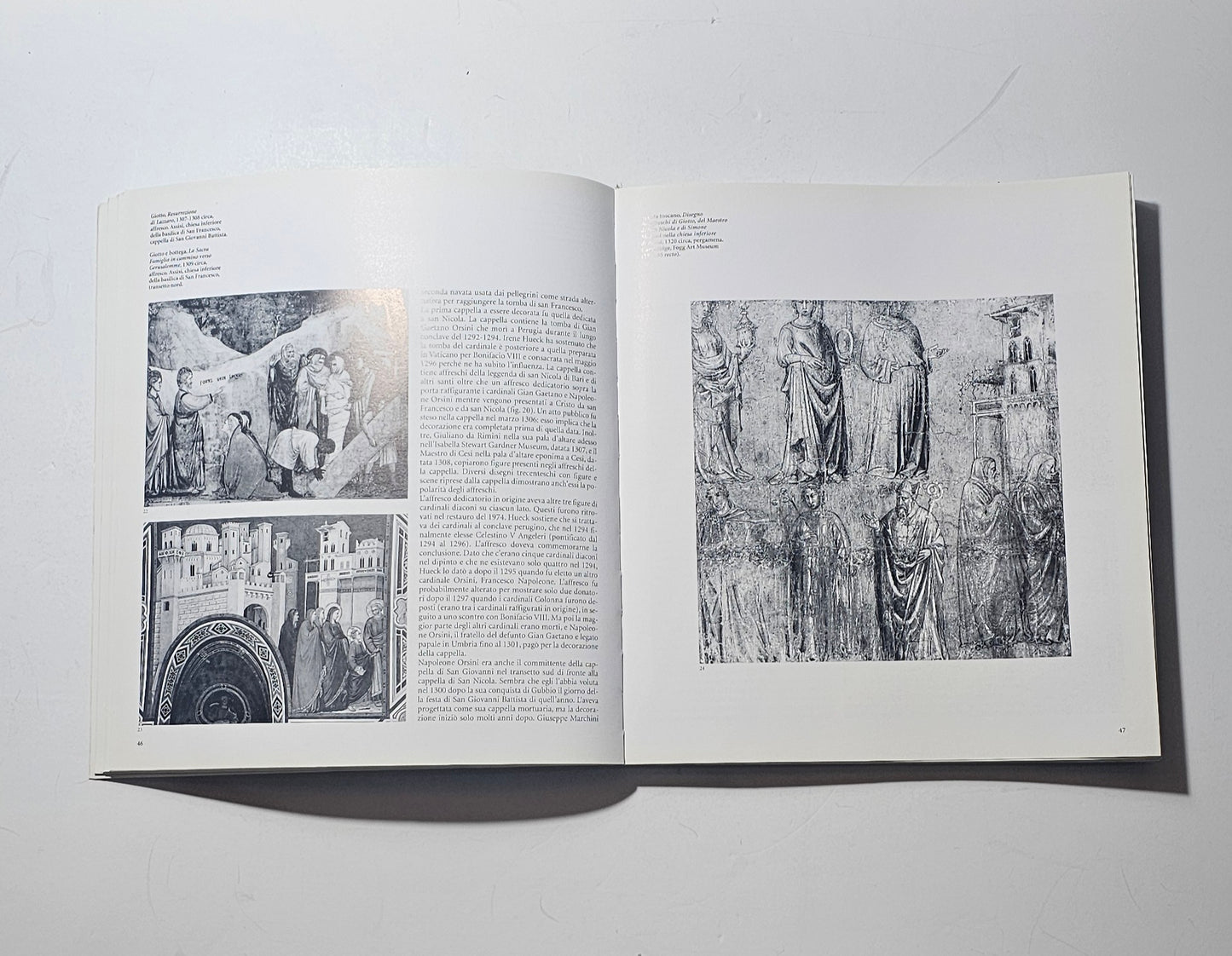 Affreschi Basilica San Francesco catalogo illustrato Electa iolibrocarmine