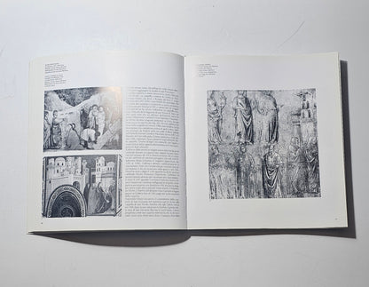 Affreschi Basilica San Francesco catalogo illustrato Electa iolibrocarmine