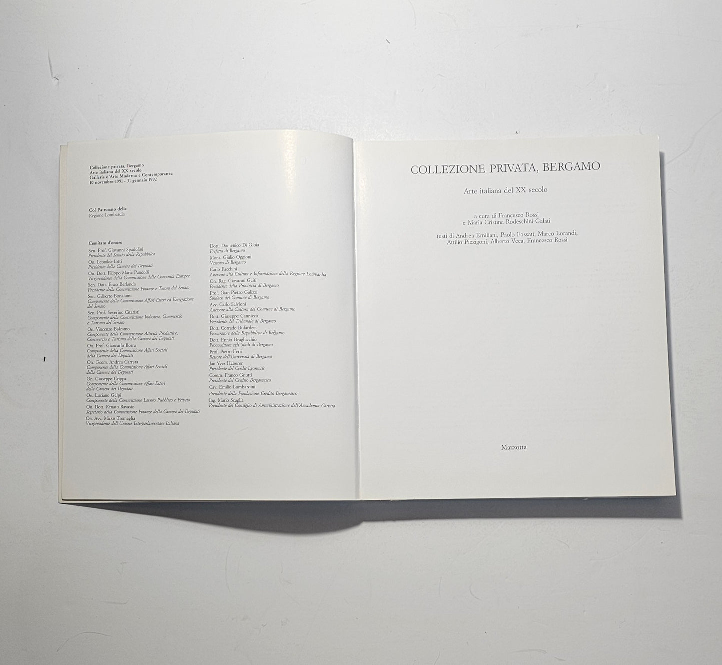 Frontespizio Collezione Privata Bergamo arte italiana del XX secolo iolibrocarmine
