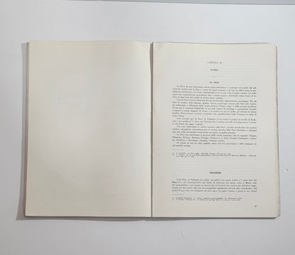 interno libro storia romana territorio brescia