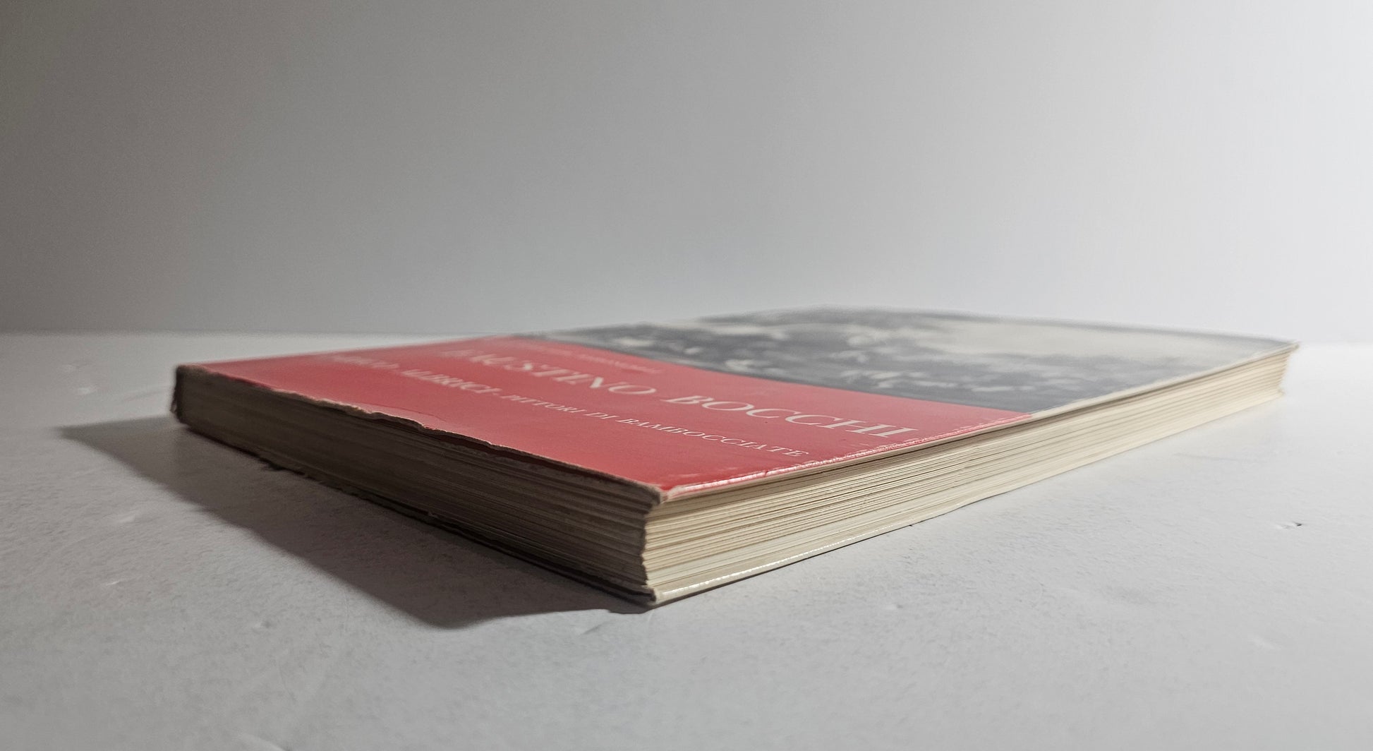iolibrocarmine libro studio bocchi albrici lfratelli Geroldi Brescia casa editrice 